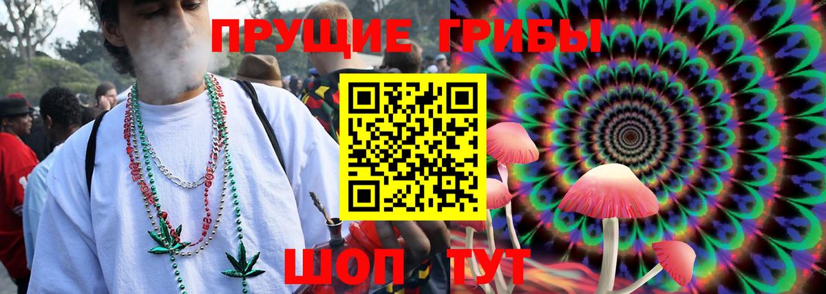 Галлюциногенные грибы Psilocybine cubensis  Вход с VPN  где купить наркоту  Алапаевск 